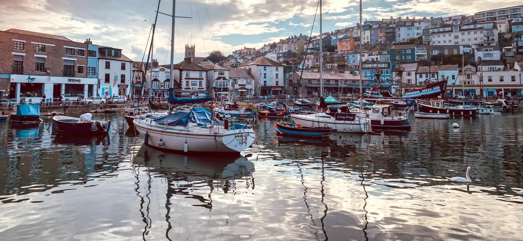 Driftwood B&B Brixham Extérieur photo